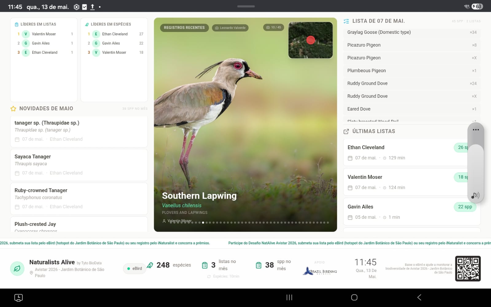 Painel Naturalists Alive em smartTV — líderes em listas, registros recentes, lista do dia.