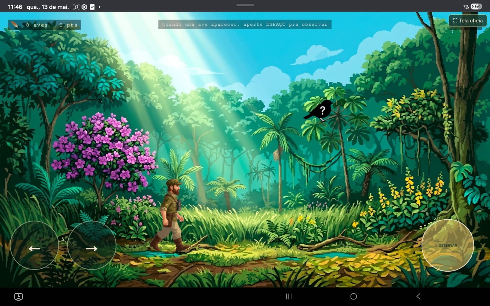 Cenário do jogo Passarinhando — interior de mata com personagem e ave silhueta.